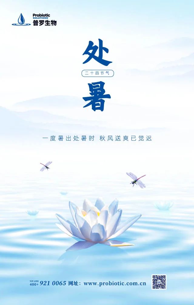 處暑.jpg
