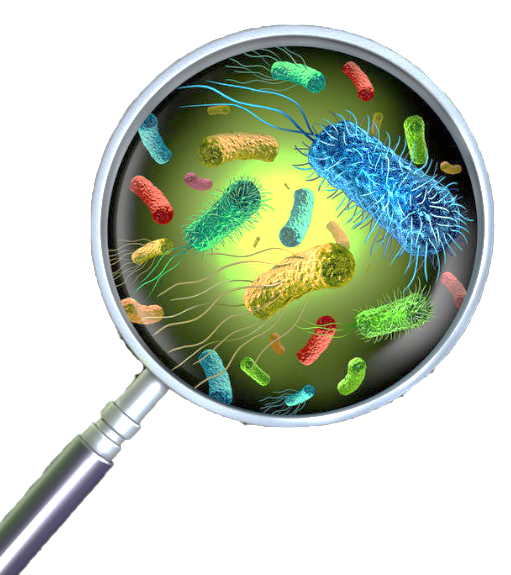 低溫微生物1.png