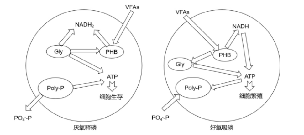 1715915932146829.png 微信圖片_20240517111507.png